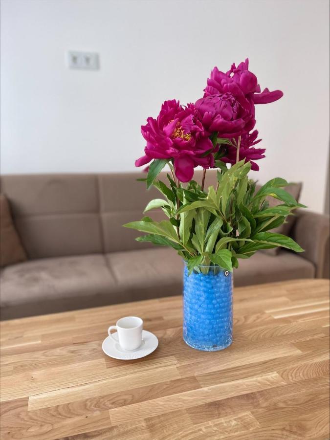 Picturesque Old Town Apartment With Charming Balcony Kaunas Buitenkant foto